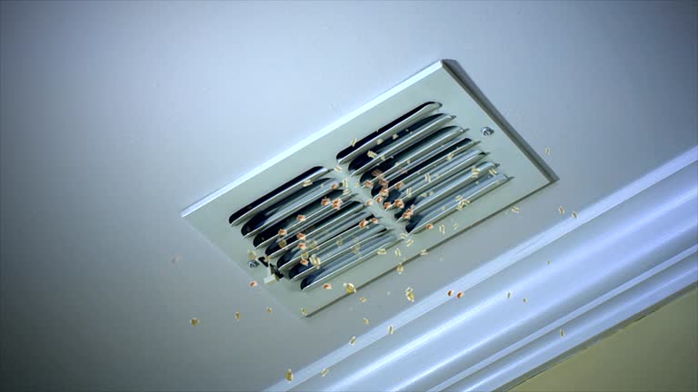 Ventilation Cleaning Services in Suffolk, VA